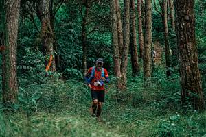 BIB: 
                            <button type="button" onclick="openModal(25236675)" class="btn btn-primary btn-sm float-right btn-popup" data-toggle="modal" data-target=".modal-high-quality">
                        <i class="fas fa-shopping-cart"></i> Add to Cart
                    </button>
                                            <button type="button" onclick="isThisMe(25236675, true)" class="btn btn-success btn-sm float-right btn-popup btn-isme hidden" data-toggle="tooltip" data-placement="bottom" title="นี่คือรูปของคุณใช่ไหม คลิกที่นี่เพื่อเอาเข้าอัลบั้ม">
                        <i class="fas fa-plus"></i> Add to album
                    </button>
                    <button type="button" onclick="isThisMe(25236675, false)" class="btn btn-warning btn-sm float-right btn-popup btn-isnotme hidden">
                        <i class="fas fa-ban"></i> Remove from album
                    </button>